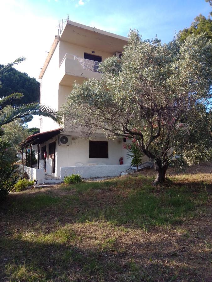 Anemos Studios Vasilias  Exterior photo